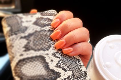 sapphire-nails-spa-knoxville-tn-37934-salon-art-design