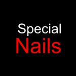 special-nails-memphis-tn-38119-salon-logo
