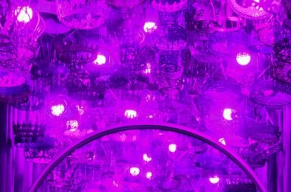 color-factory-houston-tx-77098-exhibition