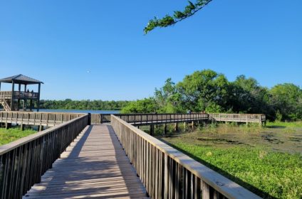 cullinan-park-sugar-land-tx-77498-tourist-attraction-landscape