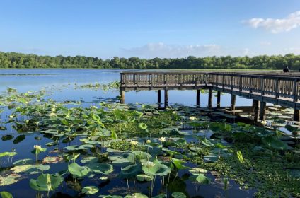 cullinan-park-sugar-land-tx-77498-tourist-attraction-landscape