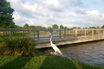 eldridge-park-sugar-land-tx-77478-stork