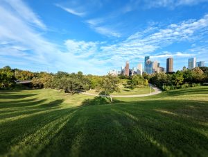eleanor-tinsley-park-houston-tx-77019-panorama