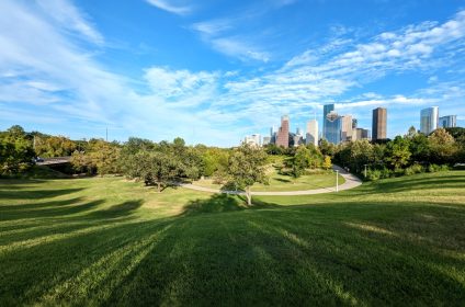 eleanor-tinsley-park-houston-tx-77019-panorama