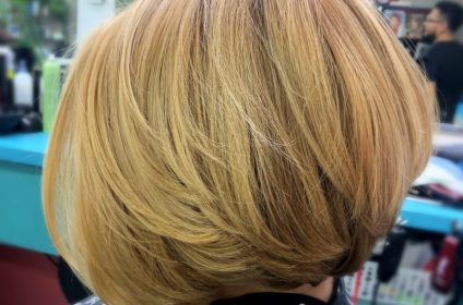 elvias-beauty-salon-houston-tx-77083-hair-style