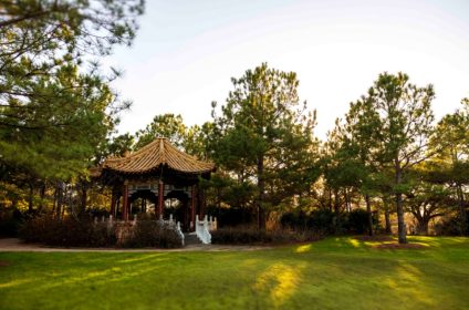 hermann-park-houston-tx-77030-scenery