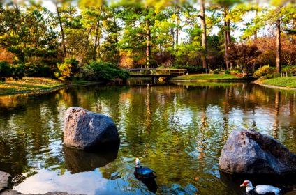 hermann-park-houston-tx-77030-scenery