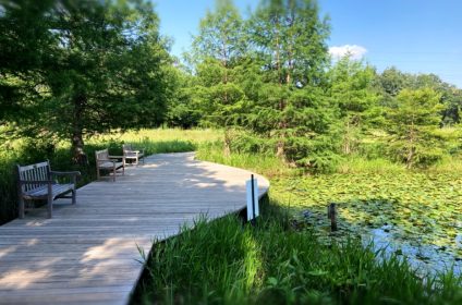 houston-arboretum-nature-center-tx-77024-scenery-benches