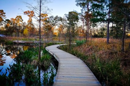 houston-arboretum-nature-center-tx-77024-scenery-walkway