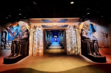 houston-museum-of-natural-science-tx-77030-exhibition