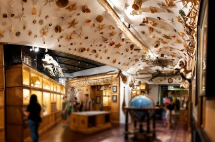 houston-museum-of-natural-science-tx-77030-exhibition