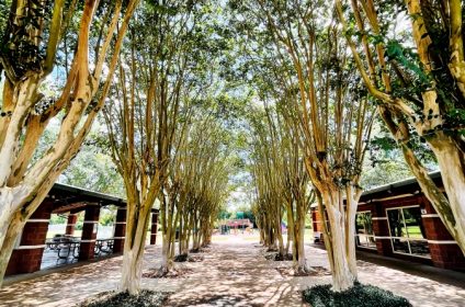 lost-creek-park-sugar-land-tx-77479-landscape