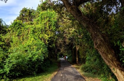 lost-creek-park-sugar-land-tx-77479-landscape