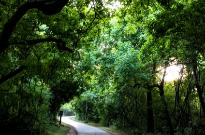 lost-creek-park-sugar-land-tx-77479-landscape
