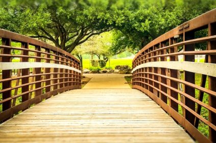 oyster-creek-park-sugar-land-tx-77478-tourist-attraction-landscape