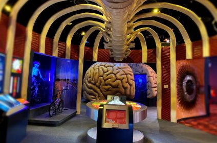 the-health-museum-houston-tx-77004-exhibition