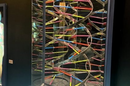 the-health-museum-houston-tx-77004-exhibition