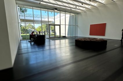 the-menil-collection-houston-tx-77006-exhibition