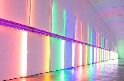 the-menil-collection-houston-tx-77006-exhibition