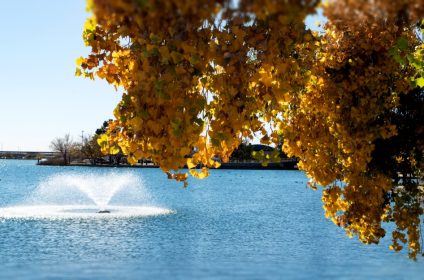 ascarate-park-in-el-paso-tx-79905-scenery