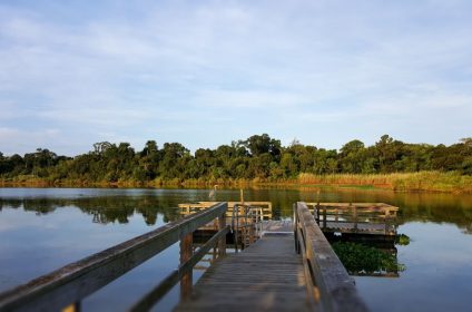 bay-area-park-houston-tx-77058-fishing-dock