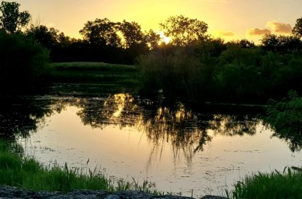 buffalo-bend-nature-park-houston-tx-77011-scenery