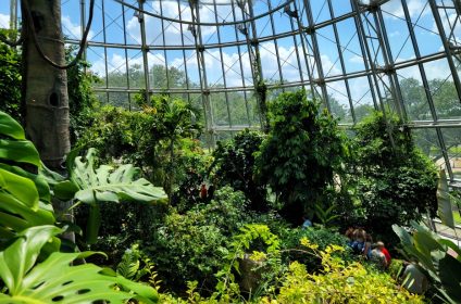 cockrell-butterfly-center-houston-tx-77030-conservatory