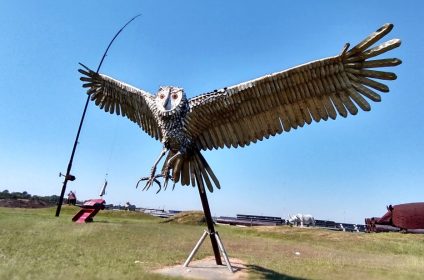 eclectic-menagerie-park-houston-tx-77051-exhibition-owl