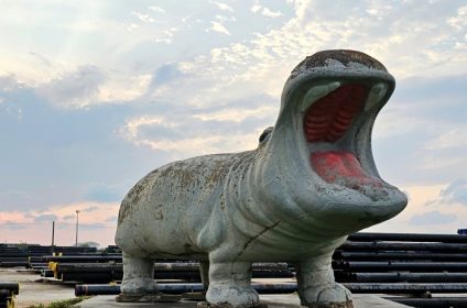 eclectic-menagerie-park-houston-tx-77051-exhibition-hippo