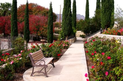 el-paso-municipal-rose-garden-in-tx-79930-garden