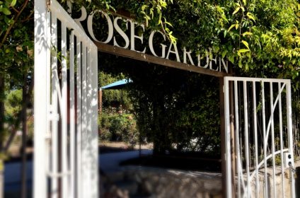 el-paso-municipal-rose-garden-in-tx-79930-garden