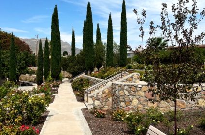 el-paso-municipal-rose-garden-in-tx-79930-scenery