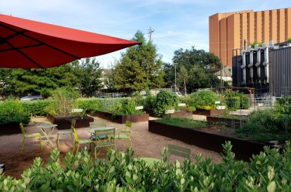 levy-park-houston-tx-77098-rain-garden