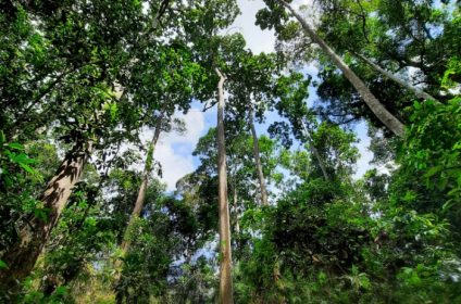 lo-go-xa-mat-national-park-in-tay-ninh-vn-840000-scenery