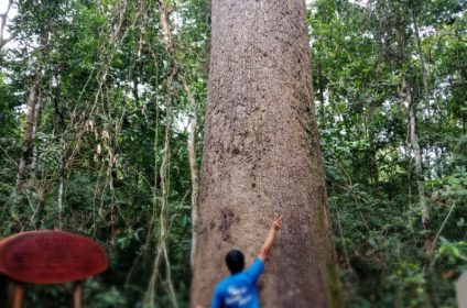 lo-go-xa-mat-national-park-in-tay-ninh-vn-840000-scenery