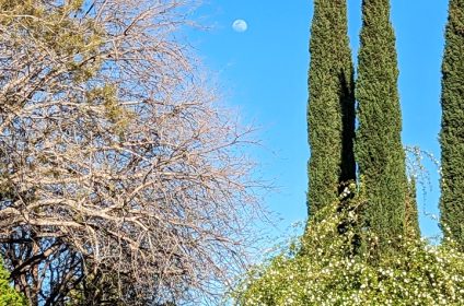 memorial-park-in-el-paso-tx-79930-scenery
