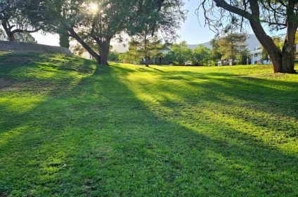 memorial-park-in-el-paso-tx-79930-scenery