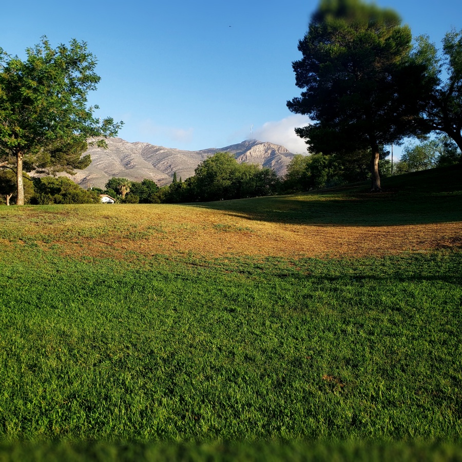 memorial-park-in-el-paso-tx-79930-scenery