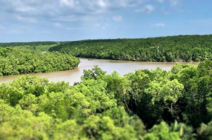 monkey-island-in-can-gio-mangrove-biosphere-reserve-vn-700000-panorama