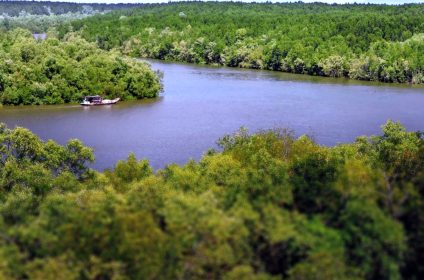 monkey-island-in-can-gio-mangrove-biosphere-reserve-vn-700000-panorama