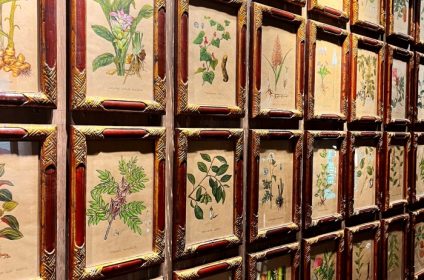 museum-of-traditional-vietnamese-medicine-in-ho-chi-minh-city-700000-exhibit