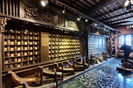 museum-of-traditional-vietnamese-medicine-in-ho-chi-minh-city-700000-exhibit