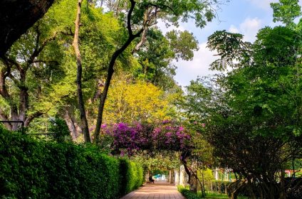 saigon-zoo-and-botanical-garden-in-ho-chi-minh-city-vietnam-scenery