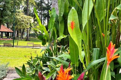 tao-dan-park-in-ho-chi-minh-city-vietnam-scenery