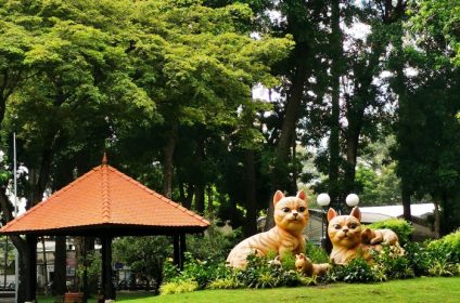 tao-dan-park-in-ho-chi-minh-city-vietnam-scenery