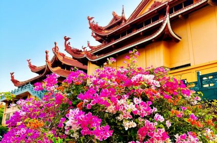 vietnamese-national-buddhist-temple-in-ho-chi-minh-city-700000-scenery