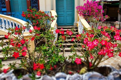 binh-thuy-ancient-house-in-can-tho-900000-mekong-delta-scenery