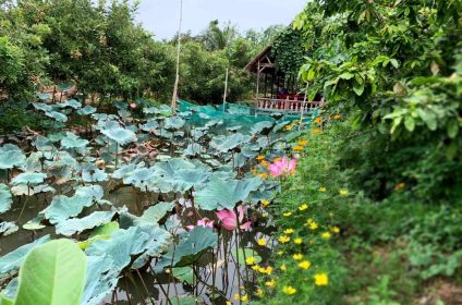 con-son-islet-in-can-tho-900000-mekong-delta-scenery