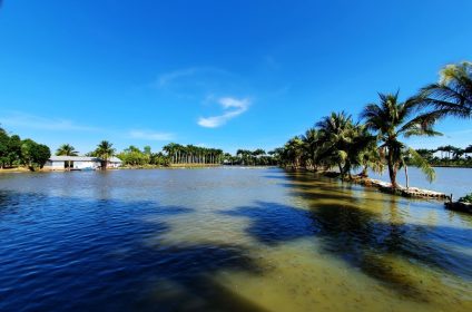 con-son-islet-in-can-tho-900000-mekong-delta-scenery