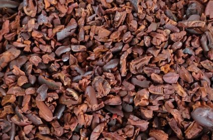 muoi-cuong-cocoa-farm-in-can-tho-900000-mekong-delta-nibs